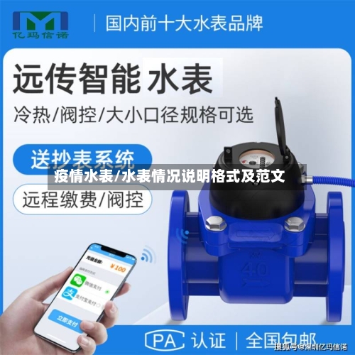 疫情水表/水表情况说明格式及范文
