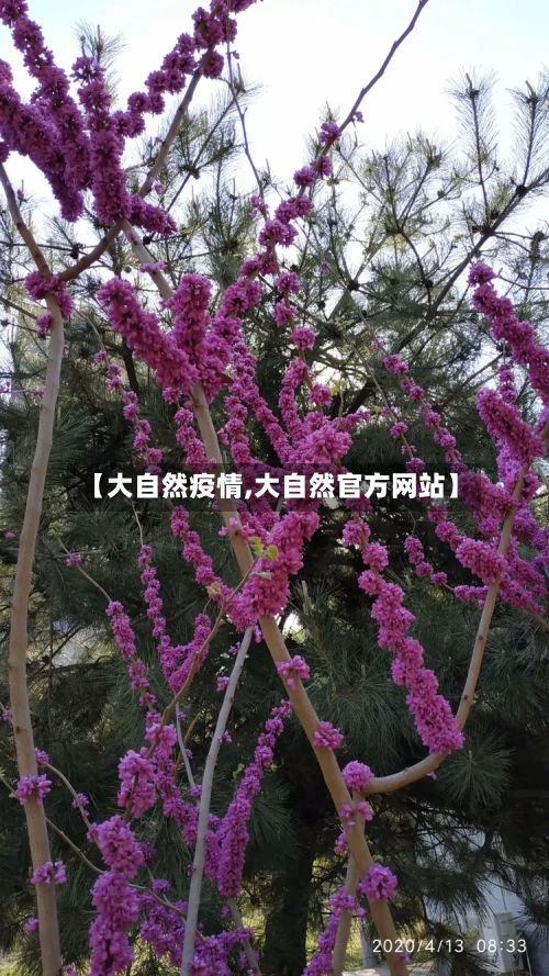 【大自然疫情,大自然官方网站】-第3张图片