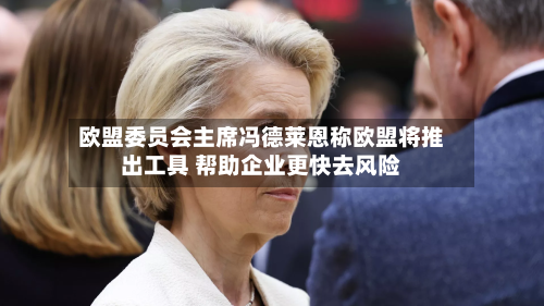欧盟委员会主席冯德莱恩称欧盟将推出工具 帮助企业更快去风险-第3张图片