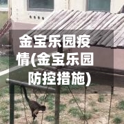 金宝乐园疫情(金宝乐园防控措施)