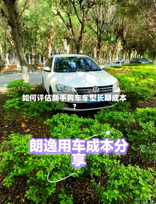 如何评估新手购车车型长期成本？-第2张图片