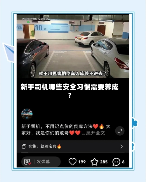 新手司机哪些安全习惯需要养成？