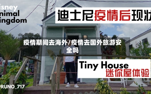 疫情期间去海外/疫情去国外旅游安全吗-第3张图片