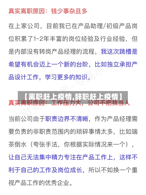 【离职赶上疫情,辞职赶上疫情】-第3张图片
