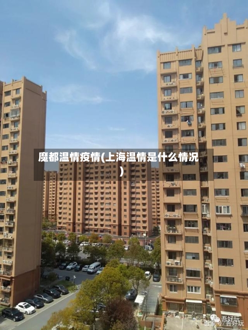 魔都温情疫情(上海温情是什么情况)-第2张图片