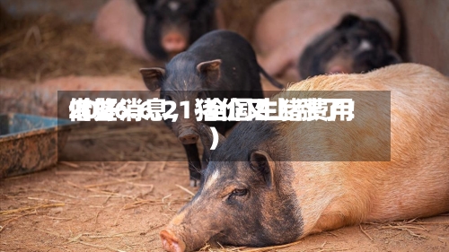 2026.6.21-全国生猪费用借鉴（好消息，猪价又上涨了！）
