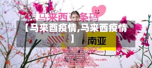【马来酉疫情,马来西疫情】-第2张图片