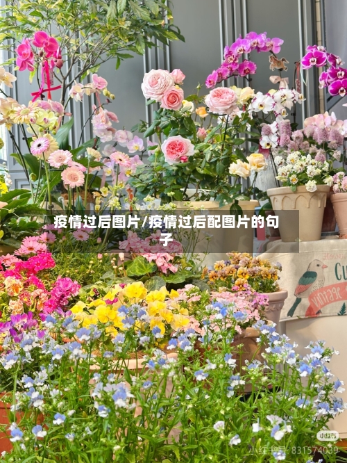 疫情过后图片/疫情过后配图片的句子