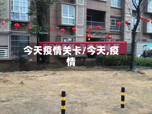 今天疫情关卡/今天,疫情-第3张图片