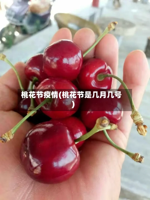 桃花节疫情(桃花节是几月几号)