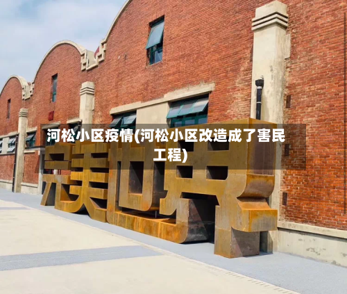 河松小区疫情(河松小区改造成了害民工程)