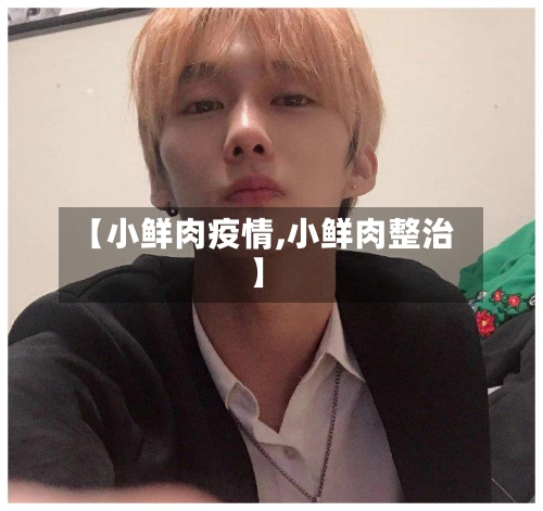 【小鲜肉疫情,小鲜肉整治】-第3张图片