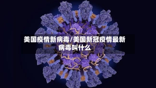 美国疫情新病毒/美国新冠疫情最新病毒叫什么-第3张图片