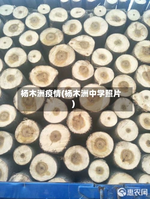 杨木洲疫情(杨木洲中学照片)