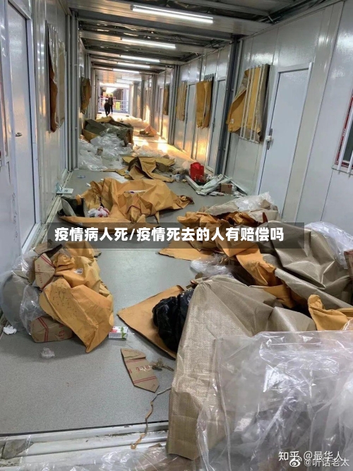 疫情病人死/疫情死去的人有赔偿吗
