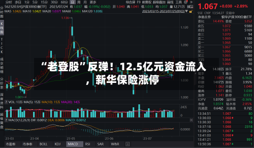 “老登股”反弹！12.5亿元资金流入，新华保险涨停-第2张图片