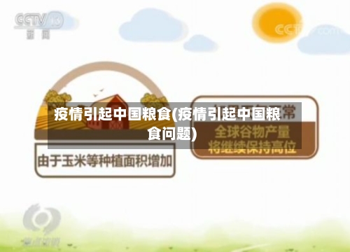 疫情引起中国粮食(疫情引起中国粮食问题)