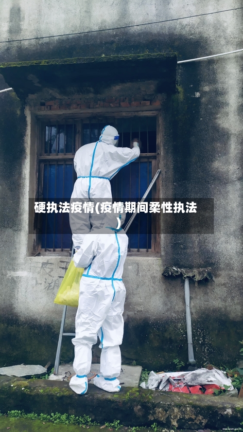 硬执法疫情(疫情期间柔性执法)