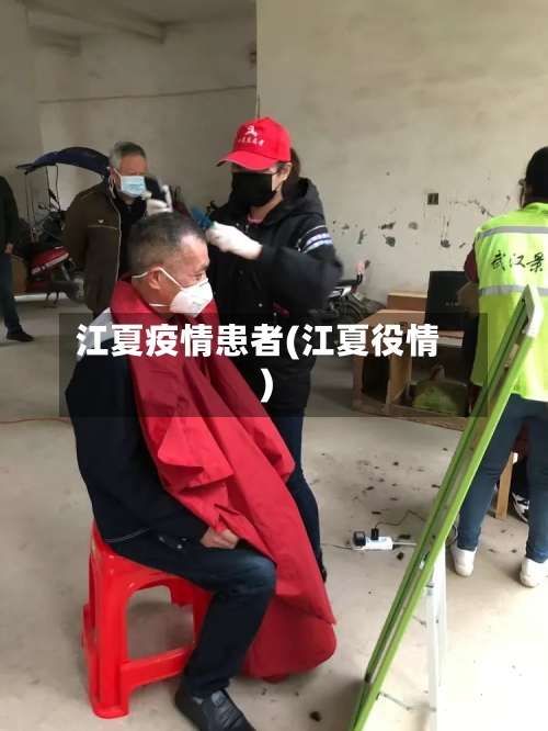 江夏疫情患者(江夏役情)-第3张图片