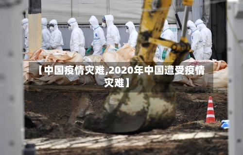 【中国疫情灾难,2020年中国遭受疫情灾难】-第2张图片