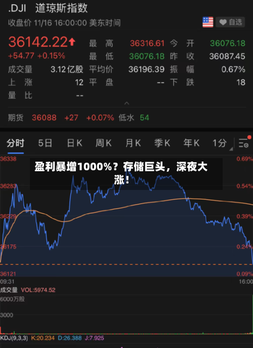 盈利暴增1000%？存储巨头，深夜大涨！-第2张图片