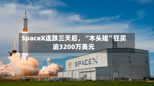 SpaceX连跌三天后，“木头姐	”狂买逾3200万美元-第2张图片