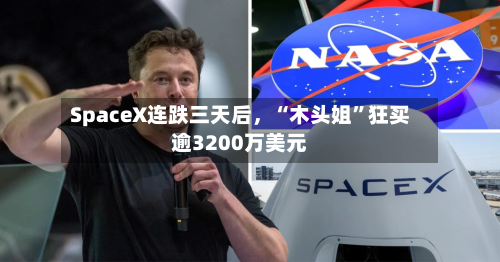 SpaceX连跌三天后，“木头姐”狂买逾3200万美元