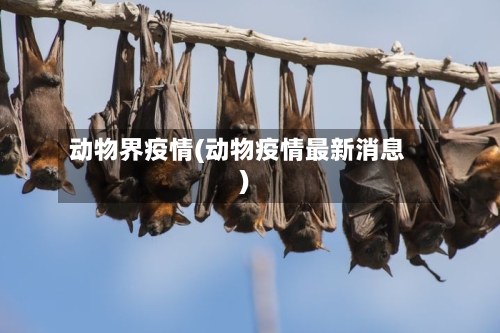 动物界疫情(动物疫情最新消息)