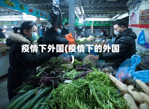 疫情下外国(疫情下的外国)-第2张图片