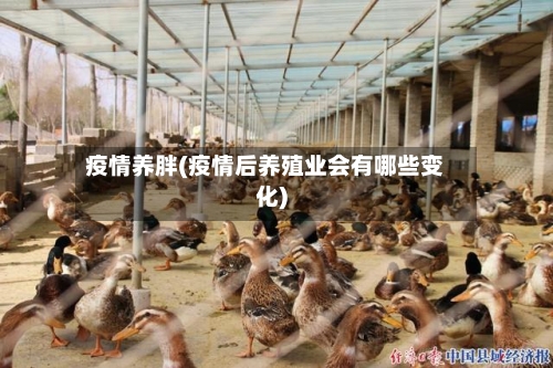 疫情养胖(疫情后养殖业会有哪些变化)-第3张图片