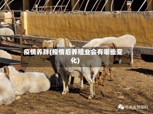 疫情养胖(疫情后养殖业会有哪些变化)-第2张图片