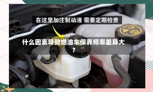 什么因素导致燃油车保养频率差异大？
