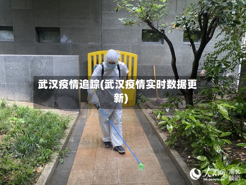 武汉疫情追踪(武汉疫情实时数据更新)