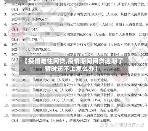 【疫情难住网贷,疫情期间网贷逾期了暂时还不上怎么办】