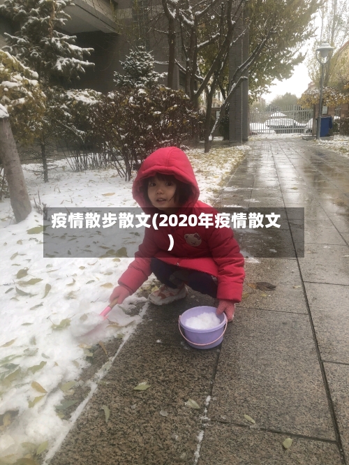疫情散步散文(2020年疫情散文)-第3张图片