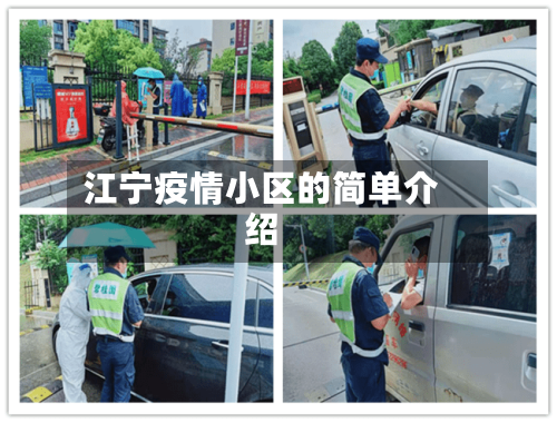 江宁疫情小区的简单介绍