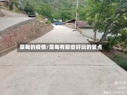 菜甸的疫情/菜甸有那些好玩的景点