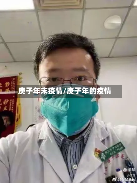庚子年末疫情/庚子年的疫情-第2张图片