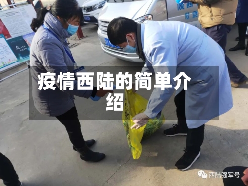 疫情西陆的简单介绍