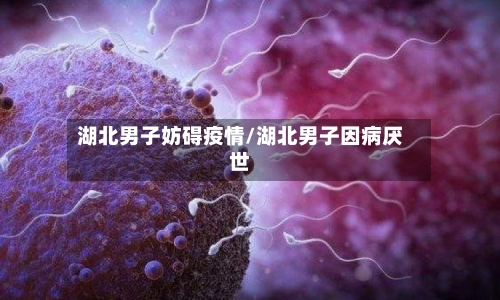 湖北男子妨碍疫情/湖北男子因病厌世