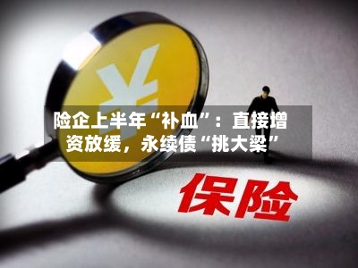 险企上半年“补血”：直接增资放缓	，永续债“挑大梁	”-第2张图片