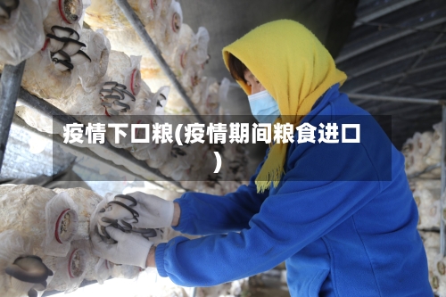疫情下口粮(疫情期间粮食进口)