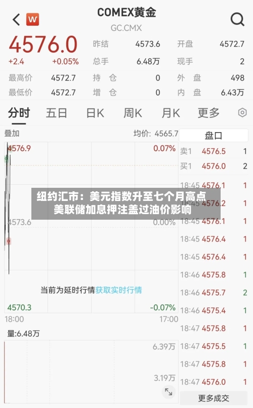 纽约汇市：美元指数升至七个月高点 美联储加息押注盖过油价影响