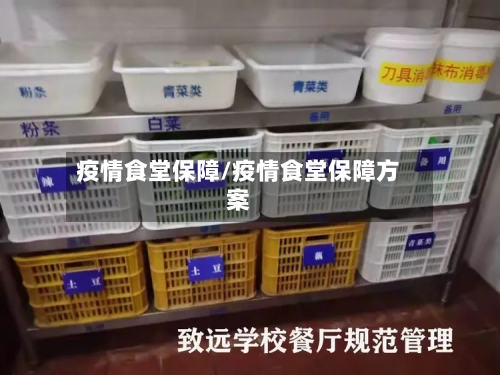 疫情食堂保障/疫情食堂保障方案