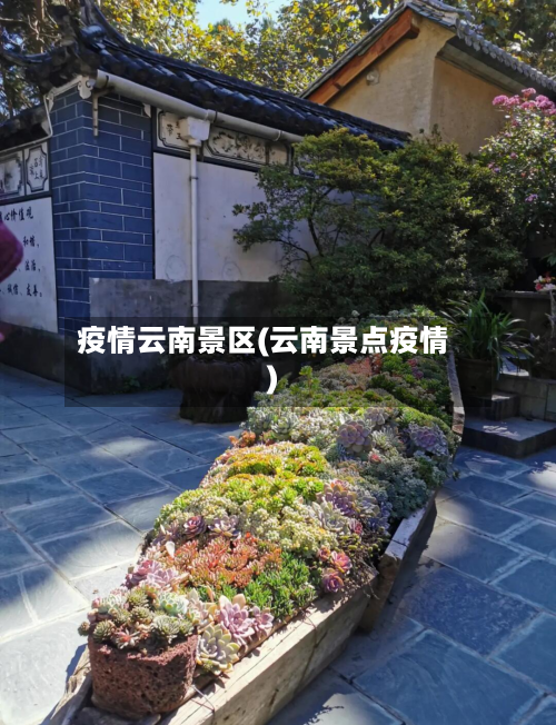 疫情云南景区(云南景点疫情)