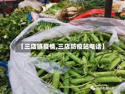 【三店镇疫情,三店防疫站电话】