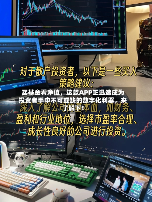 买基金看净值，这款APP正迅速成为投资者手中不可或缺的数字化利器	，来了解下！-第3张图片