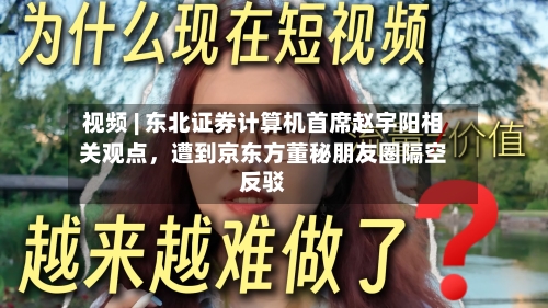 视频 | 东北证券计算机首席赵宇阳相关观点	，遭到京东方董秘朋友圈隔空反驳-第2张图片