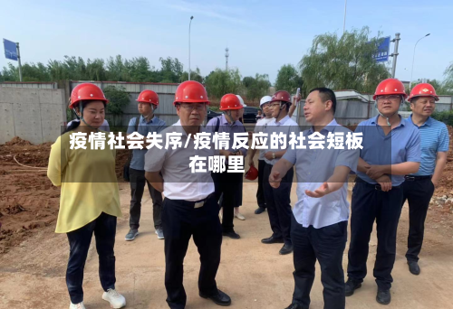 疫情社会失序/疫情反应的社会短板在哪里