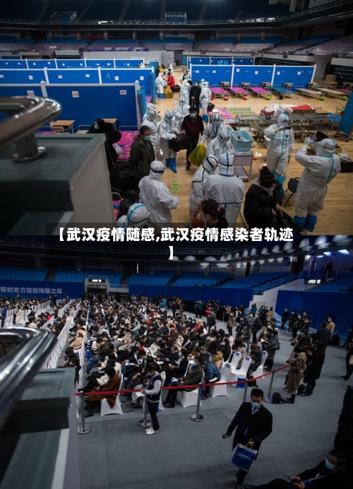 【武汉疫情随感,武汉疫情感染者轨迹】